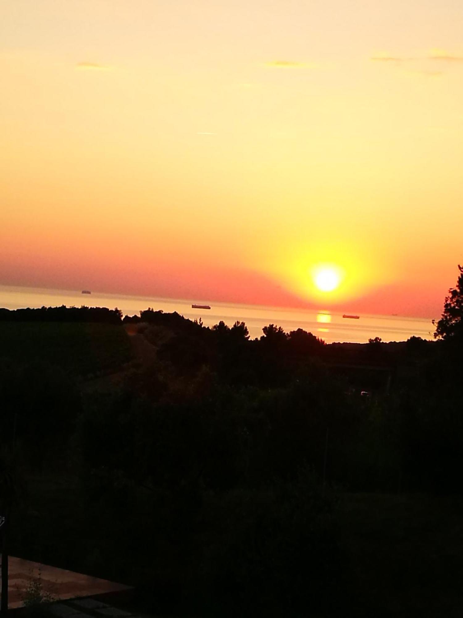 Suite Eleven Castiglioncello Eksteriør bilde