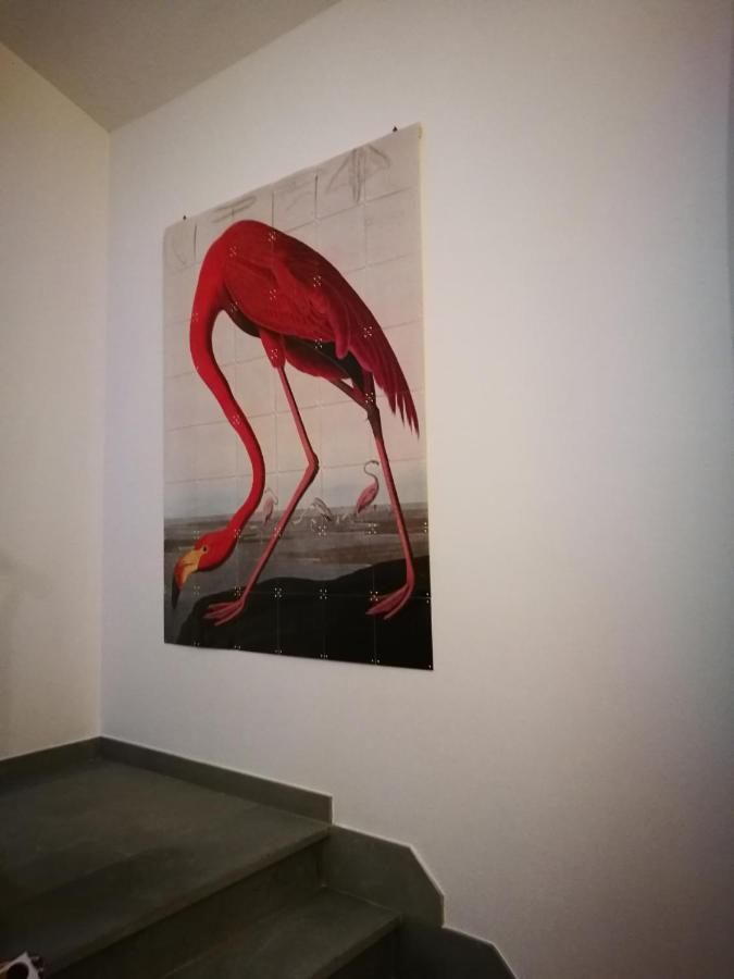 Suite Eleven Castiglioncello Eksteriør bilde