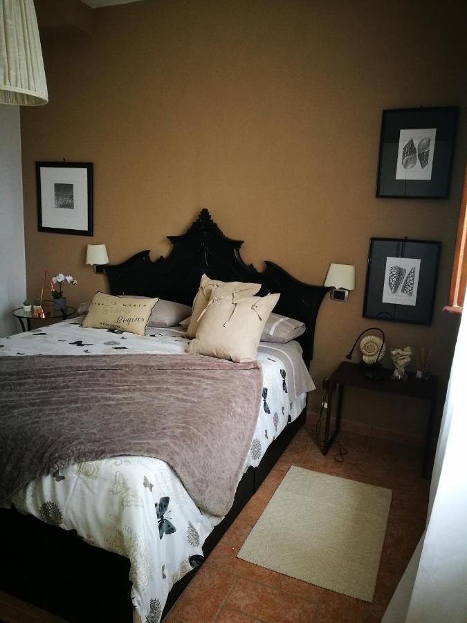 Suite Eleven Castiglioncello Eksteriør bilde